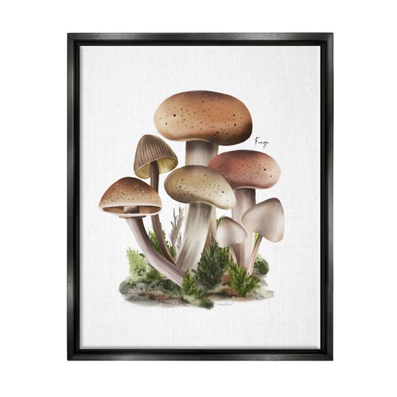 Stupell Industries Mushrooms on White Botanical & Floral Painting Black Floater Framed Canvas Art Print Wall Art, 17 x 21