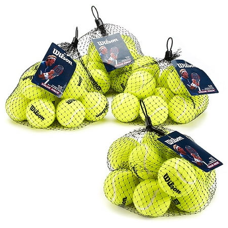 Wilson Pressureless Tennis Balls Case Of