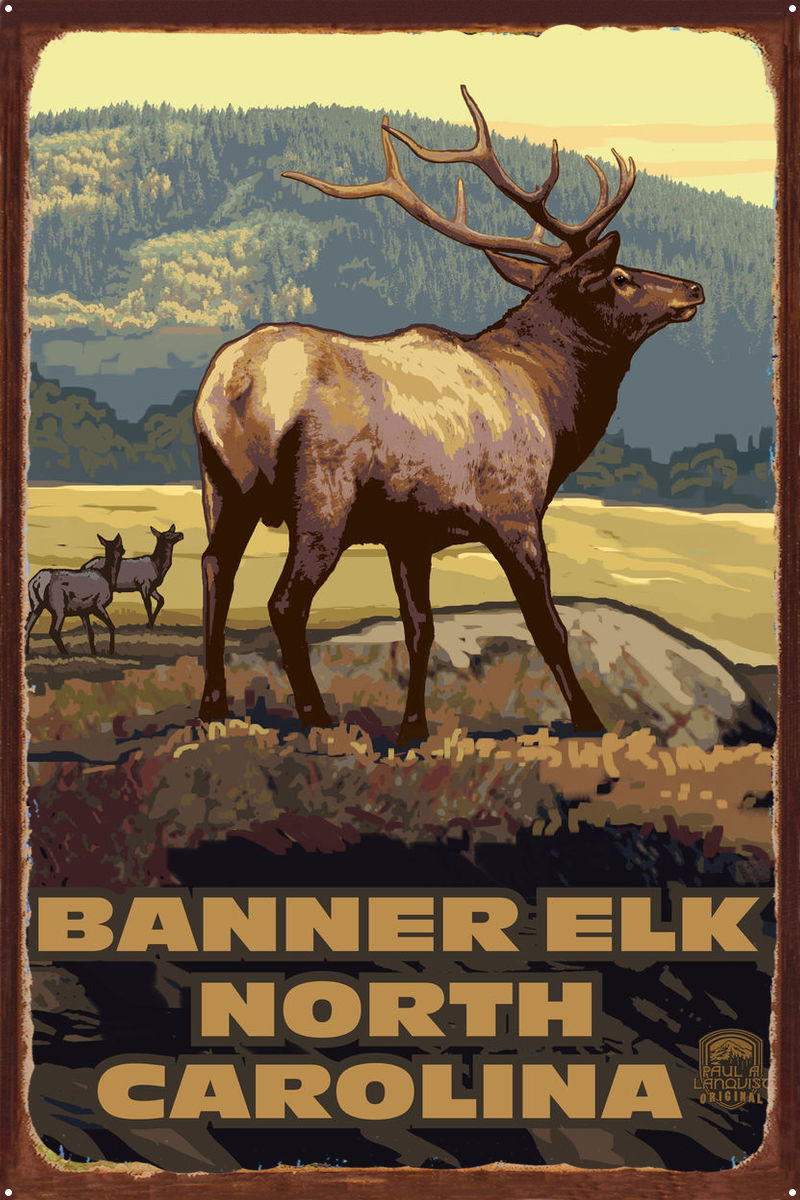 Banner Elk North Carolina Elk Herd Rustic Metal Art Print by Paul A