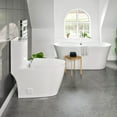 thumbnail image 5 of Eviva Denali One Piece Toilet in White, 5 of 15