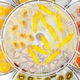 thumbnail image 3 of CNKOO White 12 Pcs Fruit Freeze Dryer Machine for Home Use Food Oven, 3 of 6