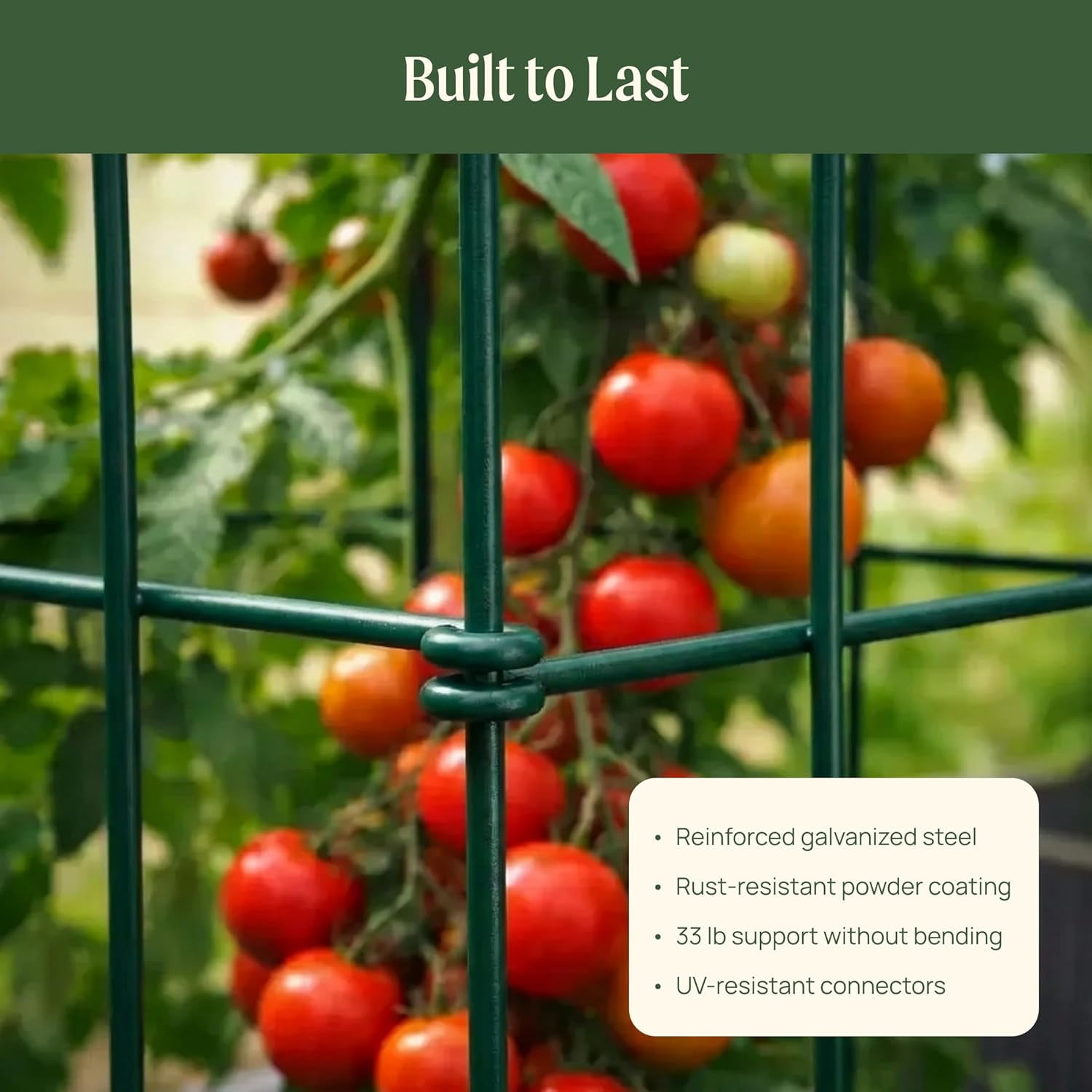 Librala Tomato Cage 16.5" Square Heavy-Duty for Garden & Pots, Rust-Resistant Tomato Stackable Heavy Gauge Plant Cage Trellis Support for Climbing Vegetables Plants