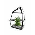 thumbnail image 6 of WGV Short Triangular Obelisk Geometric Glass Terrarium- 5" Wide x 6" Height, Good quality Terrarium - 1 Pc, 6 of 7