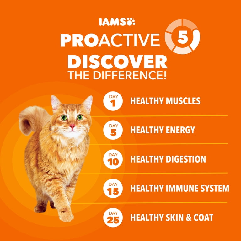 IAMS Proactive Health Adult Dry Cat Food with Real Salmon, 22 lb
