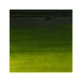thumbnail image 2 of Winsor & Newton Artists' Oil Color, 200ml, Sap Green, 2 of 2