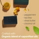 thumbnail image 4 of Jabón facial en barra Beauty by Earth Peppermint Tea Tree Charcoal, 4 of 8