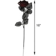 thumbnail image 2 of 10 Pcs Artificial Roses Bouquet Faux Black Roses Bundles Fake Rose Flowers Realistic Flowers Arrangements Halloween Decor (Black, 10), 2 of 5