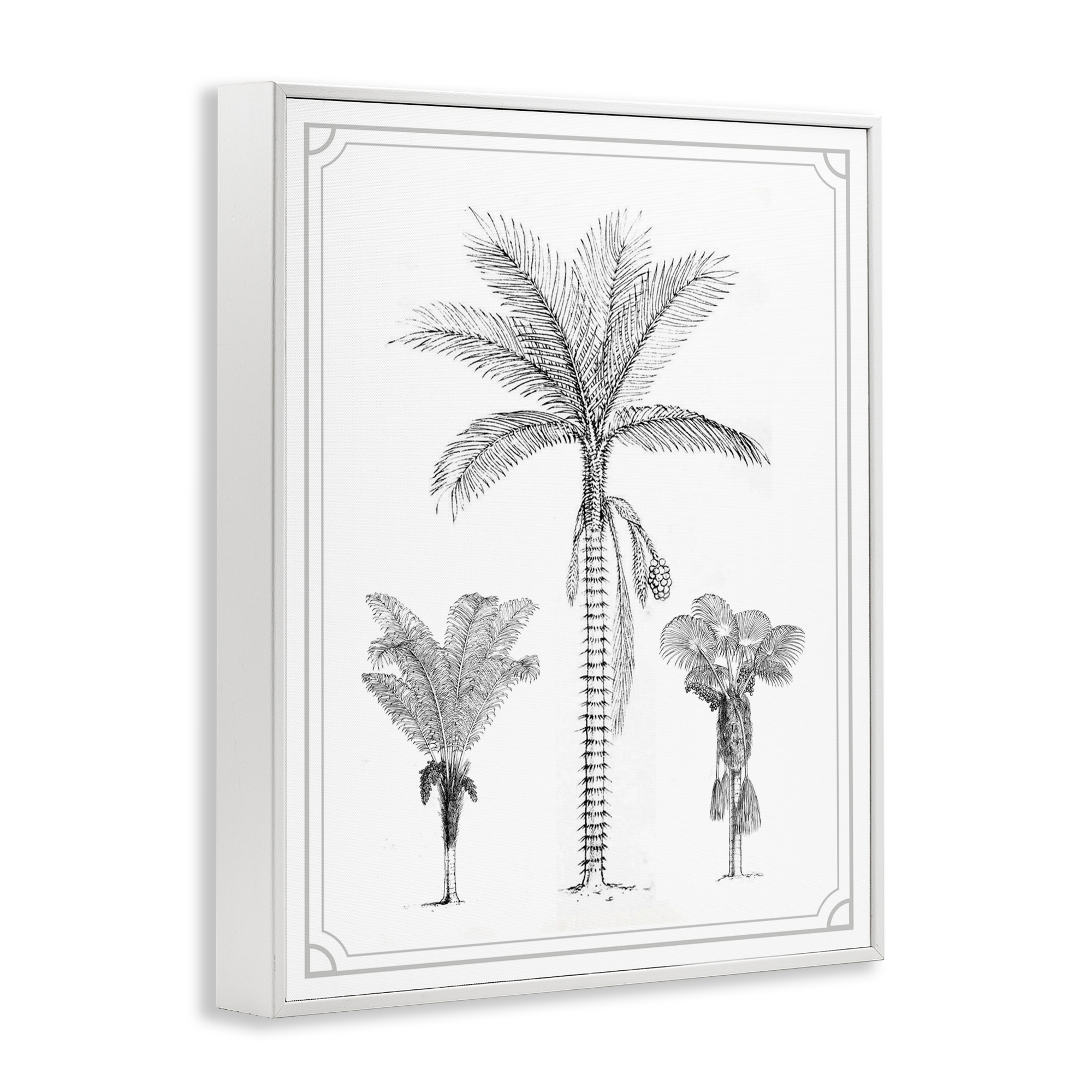 Palm Tree Trio Sketches White Framed Giclee Art, design by Lettered and Lined