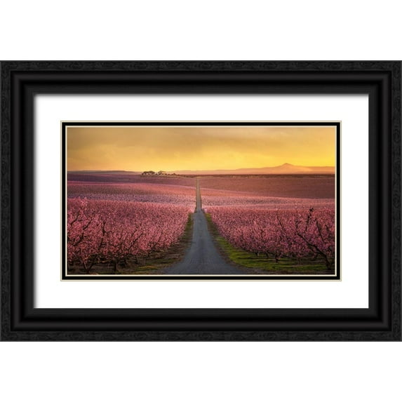 Guerola, Joaquin 32x19 Black Ornate Wood Framed with Double Matting Museum Art Print Titled - Flowering