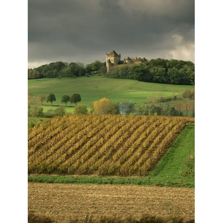 - Vineyards Near Lons Le Saunier, Jura, Rhone Alpes, France Print Wall Art By Michael Busselle