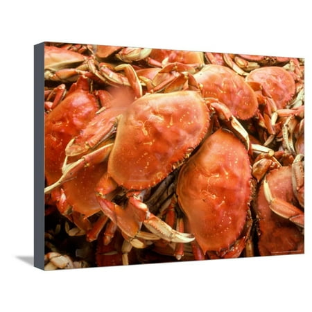 Fresh Crab in Pike Street Market, Seattle, Washington, USA Stretched Canvas Print Wall Art By Janis