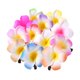 thumbnail image 5 of TABLETREANDS 12Ud Horquillas De Plumeria Accesorios Delicados Para Peinados, 5 of 7