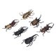 thumbnail image 2 of Juguete de Insectos Ticfox Juguete para Insectos 6 Piezas PVC, 2 of 12