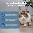 thumbnail image 5 of Blue Buffalo Wilderness Adult Indoor Dry Cat Food Indoor, Grain Free, Chicken, 5lb Bag, 5 of 12