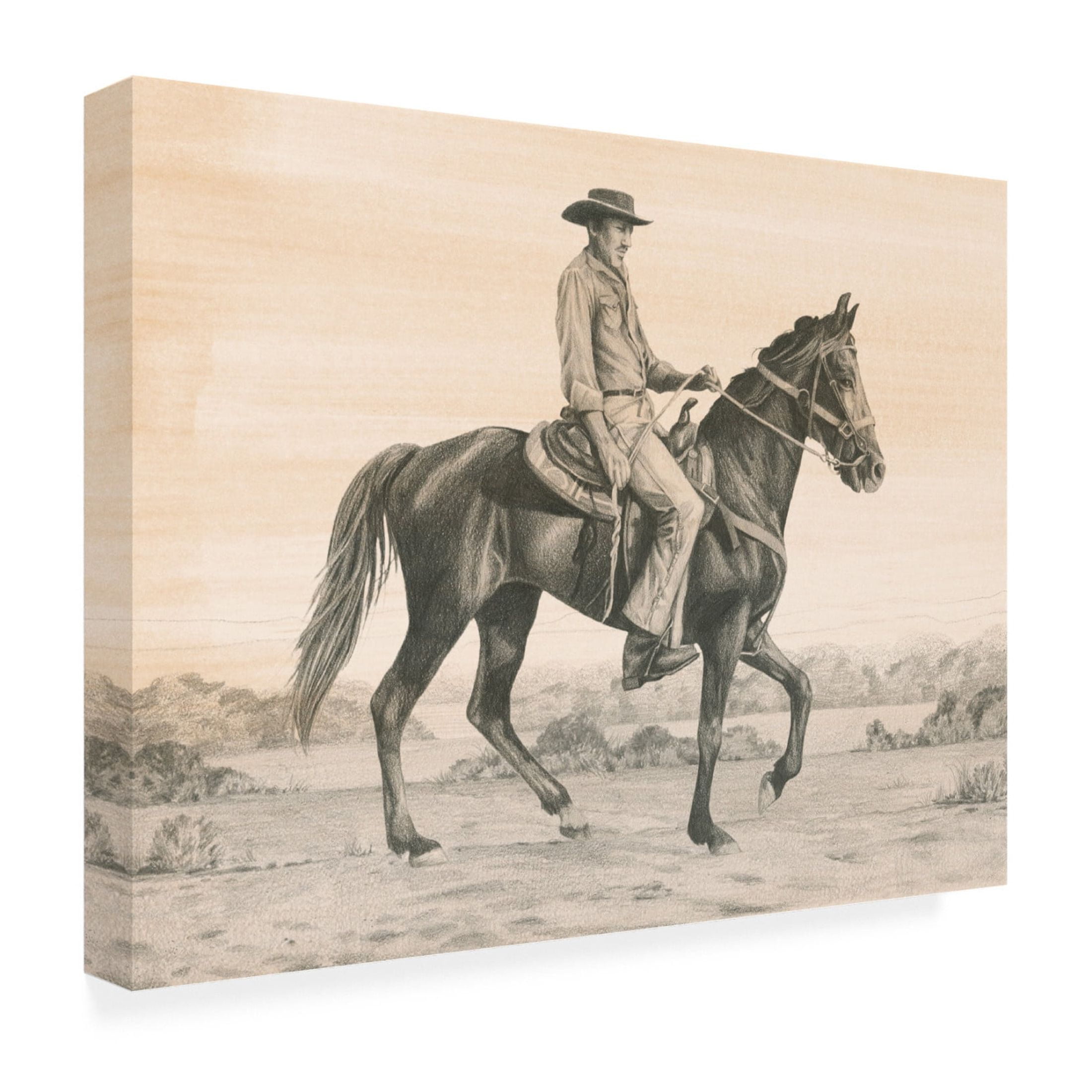 Trademark Fine Art Grace Popp  Desert Ranger I Canvas Wall Art