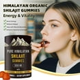 thumbnail image 2 of 1Set(A)Pure Himalayan Shilajit Gummies, 2 of 8