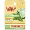 Burt's Bees 100% Natural Moisturizing Lip Balm, Cucumber Mint with Beeswax - 1 Tube