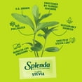 thumbnail image 6 of Splenda Stevia Liquid Zero Calorie Sweetener, 1.68 fl oz Bottle, 6 of 7