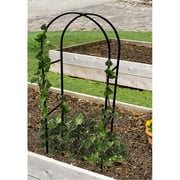 Misco Black Iron Wire Arch Trellis, 24"