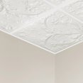 thumbnail image 2 of Great Lakes Tin 2ft x 2ft Saginaw Matte White Lay-In Ceiling Tile (5-Pack), 2 of 2