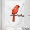 thumbnail image 1 of Cardinal Tapestry, Melodious Bird Perching Animal Flying Forest Nature Wood Picturesque, Fabric Wall Hanging Decor for Bedroom Living Room Dorm, 5 Sizes, White Vermilion Umber, by Ambesonne, 1 of 1