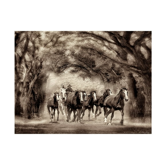 Trademark Fine Art David Drost Running Under the Cottonwoods Canvas Wall Art