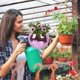 thumbnail image 5 of Jinyi Shiny Balcony Vase H X - En Patio Ow Plant Home With Restnt Basket Pot Indoor H Ball- Sd, 5 of 5