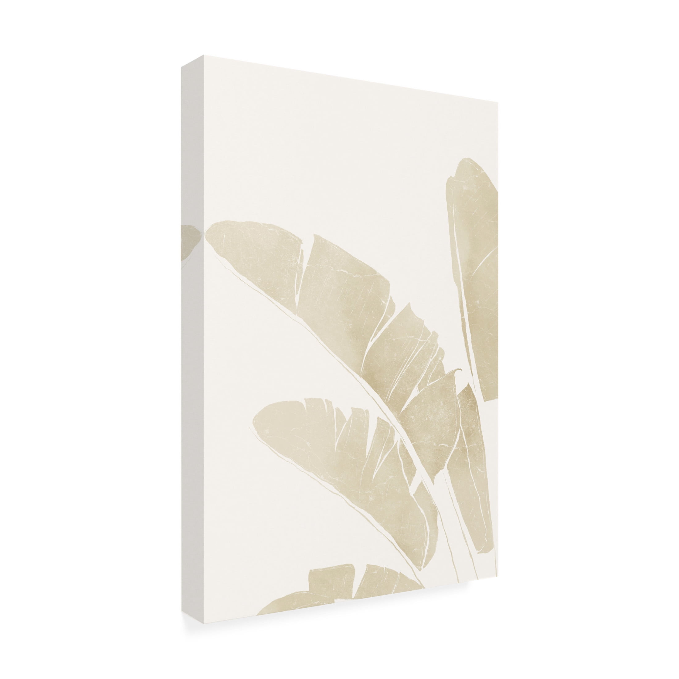 Canvas Wall Art - Yuyu Pont 'Neutral Tropico 4' Wall Art for Living Room, Bedroom, or Office Décor by Trademark Fine Art - 16 x 24 Inches