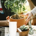 thumbnail image 4 of LOLIPPYY 50Pcs Reusable Cups for Gardening Durable Cultivation with Feature, 4 of 8