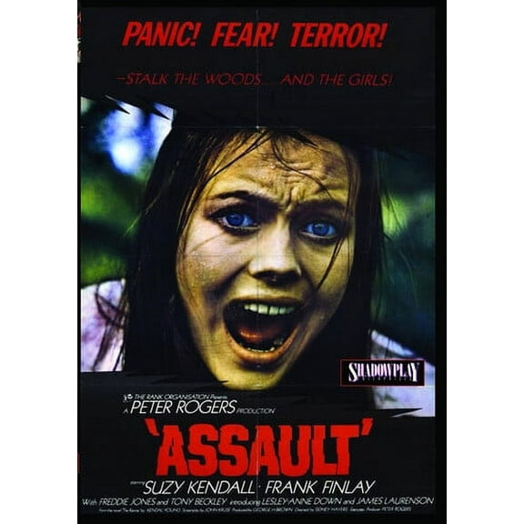 Assault  [DIGITAL VIDEO DISC] Full Frame, Mono Sound, Dolby, NTSC Format