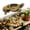 B, variant on Clearance! Zguuel Indoor Pots Planting Pots Desktop Ornament: Turtle Planter Figurine for Desk Unique Home with Coastal Charm and Whimsical Greenery Display