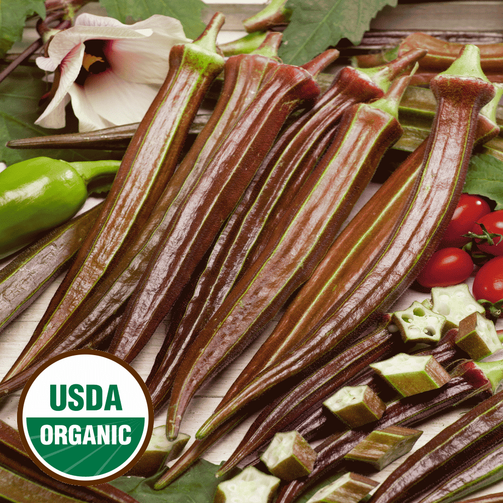 Soaking Okra Seeds In Bleach Alec Whitten