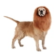 thumbnail image 3 of LSLJS Dog Lion Mane, Realistic & Funny Lion Mane for Dogs, Lion Mane for Dog Costumes, Lion Wig for Medium Large Sized Dogs, Dog Wigs Medium and Large Dog Accessories Pet Dog Wigs (With Tail), 3 of 9
