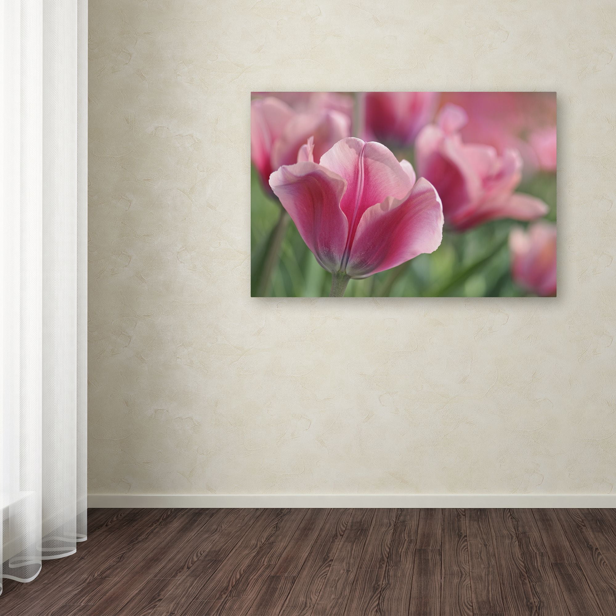 Trademark Fine Art 'Tulip Mirella Pink' Canvas Art by Cora Niele