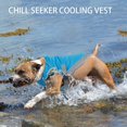 thumbnail image 4 of POINTERTECK Gilet de Refroidissement pour Chien Gilet de Refroidissement par Évaporation pour Temps Chaud Réglable pour la Formation de Chien Petit à Moyen, 4 of 8