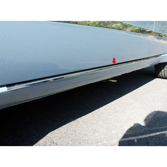 Stainless Rocker Panel Trim 2Pc Fits 2008-2011 Ford Focus TH48345 QAA