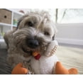 thumbnail image 6 of goDog Checkers Fat Rooster with Chew Guard Technology for Tough Chewers - White, Small, 6 of 11