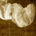 thumbnail image 2 of Craven, Katrina 26x26 Black Ornate Wood Framed with Double Matting Museum Art Print Titled - Tulip, 2 of 4