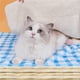 thumbnail image 2 of Puntoco Puppy Sleeping Blanket Dog Pet Small Dog Sleeping Pad, 2 of 5