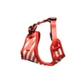 thumbnail image 5 of EcoBark Pet Supplies Dog Harness and Leash Set Combo, 5 of 7