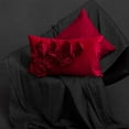 thumbnail image 3 of JWH 3D Red Rose Flower Throw Pillow Cover in Rectangle for Valentine Gift and Room Decoration 12 x 20 inch Red, 3 of 8