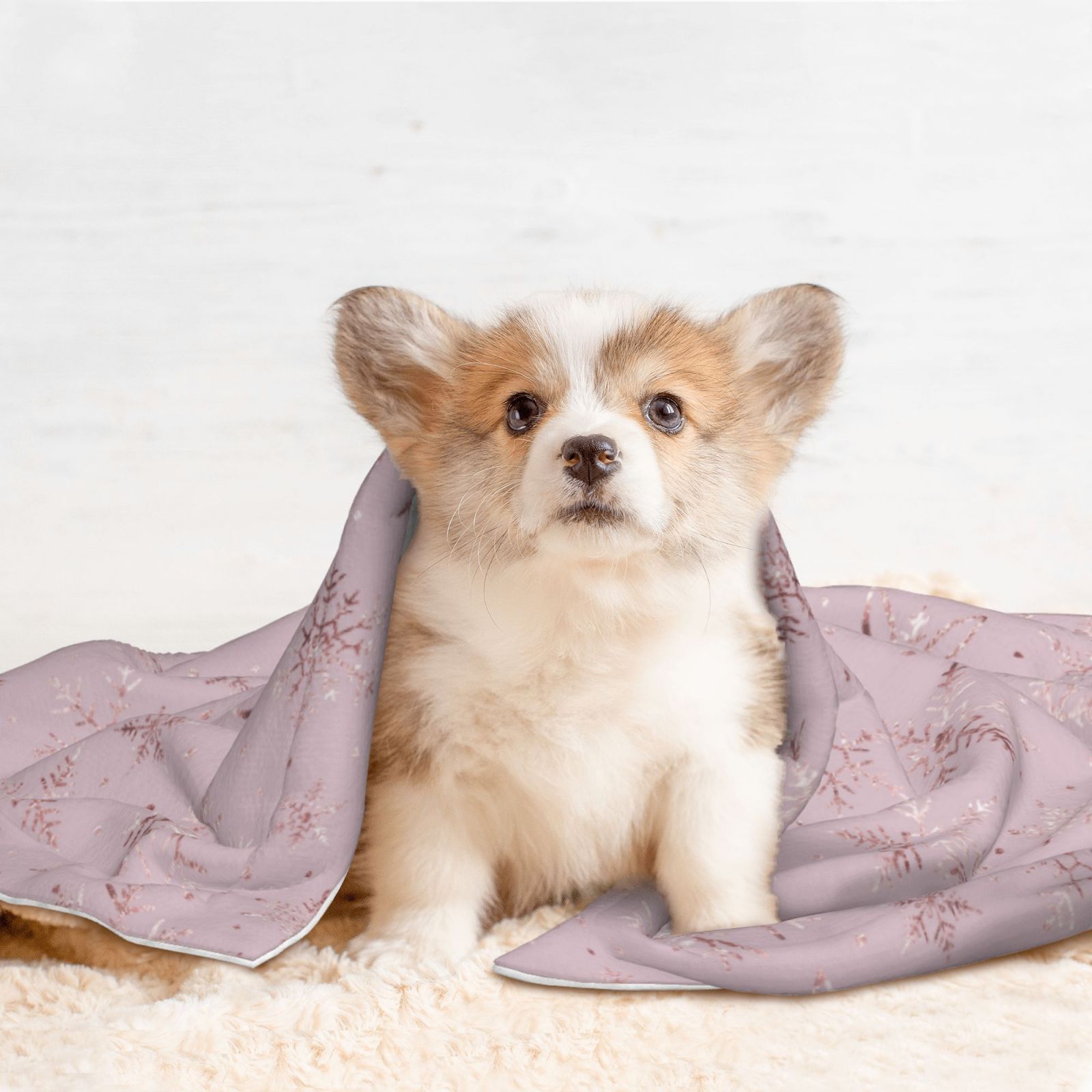 Naloa Minimalist Snowflake Dog Blanket, 3 Sizes Cat Blanket for Indoor Cats Large Medium Small Dog Gifts-Medium