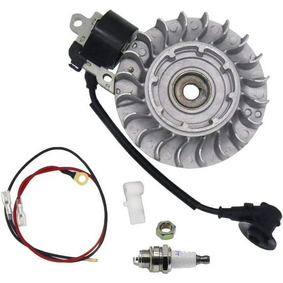 Flywheel with NGK Plug Coil Kit for Stihl MS660 066 Chainsaw 1122 400 1217