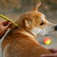 thumbnail image 5 of Home Sake Tick Removal Tool for Dogs, Cats and Humans | Ultra-Safe Tick Remover | Removes Entire Head & Body | Pain-Free Ticks Remover | 100% Chemical-Free Tick Control Products | 4 Packs of 3, 5 of 8