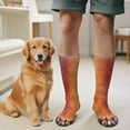 thumbnail image 3 of Funny Socks for Men Women Teens - Fun Animal Dog Paws Socks 3D White Elephant Novelty Gifts for Dad Husband Cute Funky Crazy Socks - Valentine's Christmas Gag Gifts Stocking Stuffers, 3 of 7