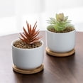 thumbnail image 3 of LEEYNEER 6Pcs Round Bamboo Saucers for Indoor Plants 9in Inner Diameter, 3 of 8