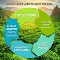 thumbnail image 6 of Ujido Summer Harvest Culinary Matcha, 2 oz., 46 Servings – Culinary Grade Japanese Matcha Powder – Gluten Free & Keto Friendly – Smooth, Mellow Flavor – for Teas, Lattes, Cooking, & Baking, 6 of 7
