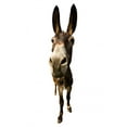 thumbnail image 2 of Funny Donkey with Long Wall Decal by Wallmonkeys Peel and Stick Graphic (36 in H x 9 in W) WM118336, 2 of 4
