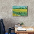 thumbnail image 3 of Epic Graffiti 'Field With Irises Near Arles' by Vincent Van Gogh, Giclee Canvas Wall Art, 24"x20", 3 of 8