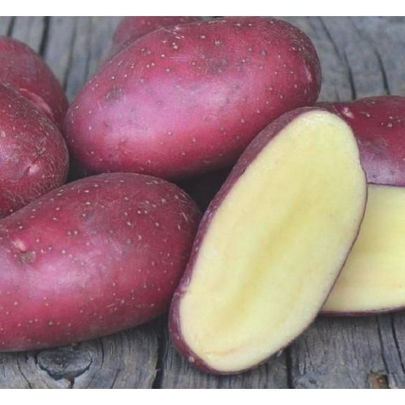 Seed Potato - Red Snapper (1 kg)